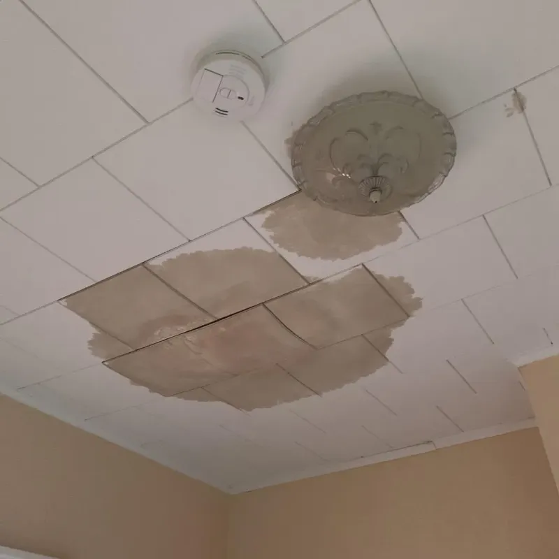 Ceiling Water Damage Repair in Hazen, ND