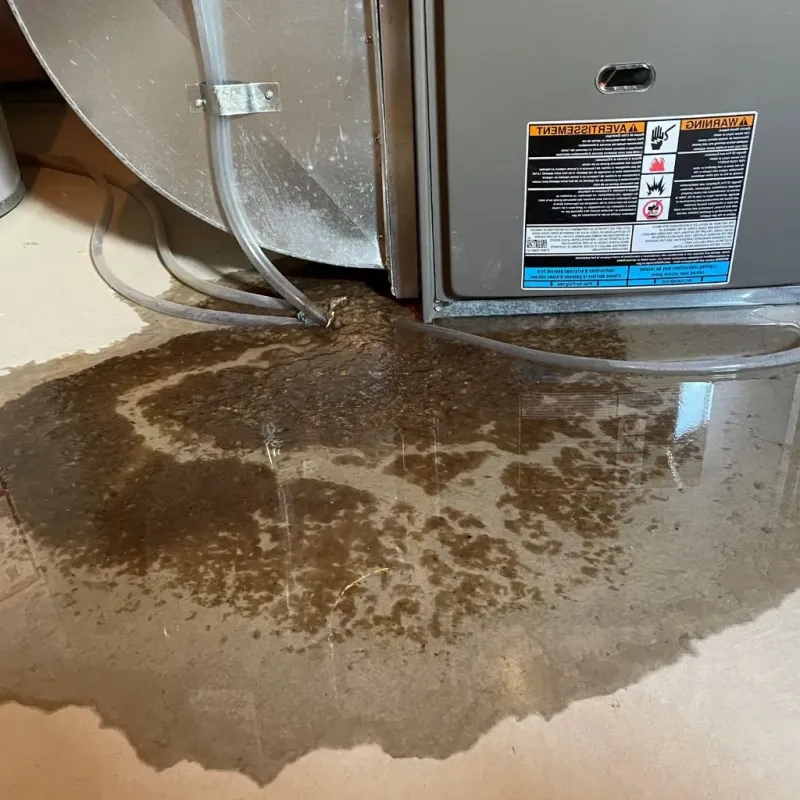 Pipe Burst and Leak Restoration in Hazen, ND