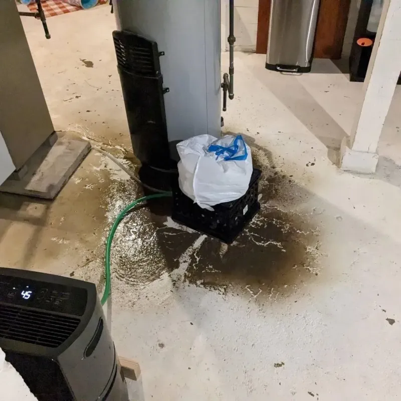 Sewage Backup Cleanup Service in Hazen, ND